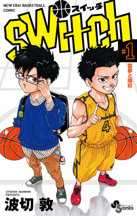Capa de Switch