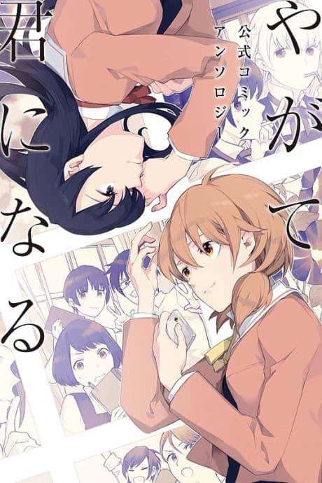 Capa de Bloom Into You Anthology