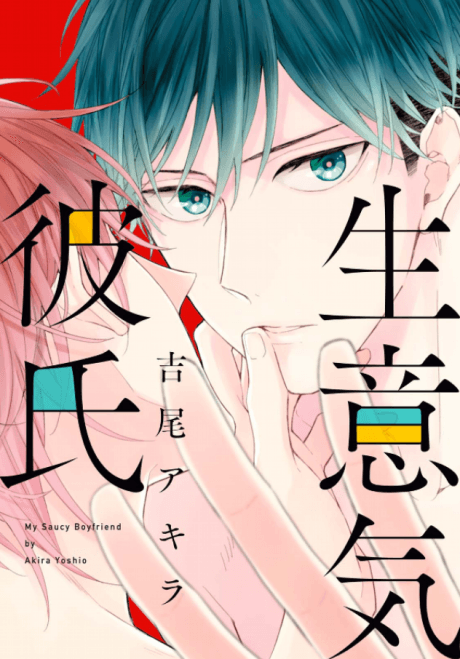 Capa de Namaiki Kareshi