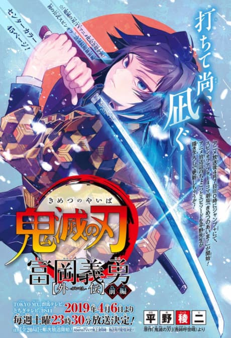 Capa de Demon Slayer: Kimetsu no Yaiba - Giyu Tomioka’s Story