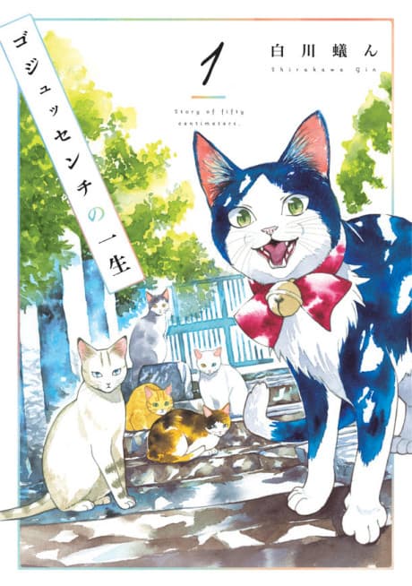 Capa de A Story of Seven Lives