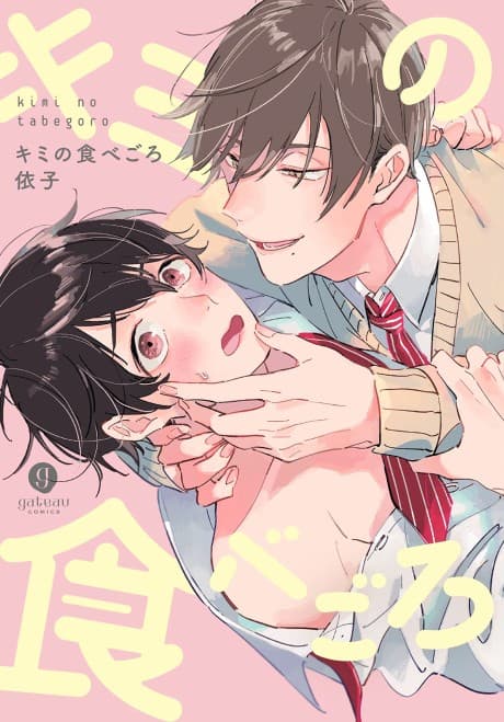 Capa de Kimi no Tabegoro
