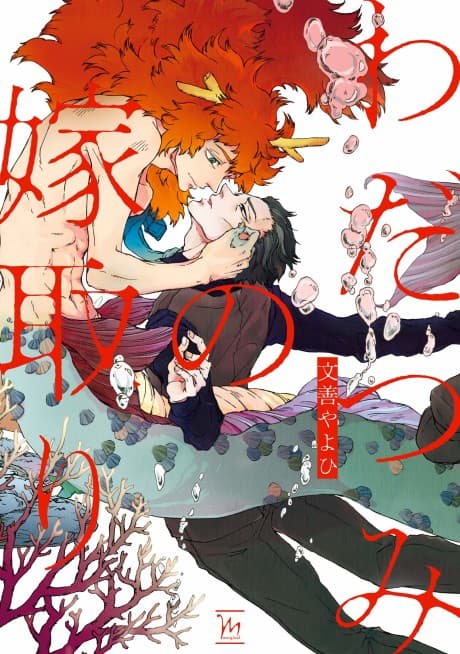 Capa de Wadatsumi no Yometori