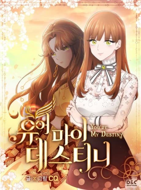 Capa de You Are My Destiny