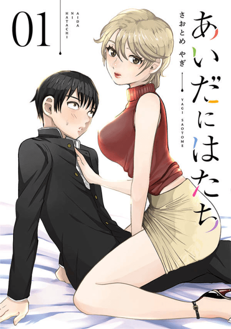 Capa de Aida ni Hatachi