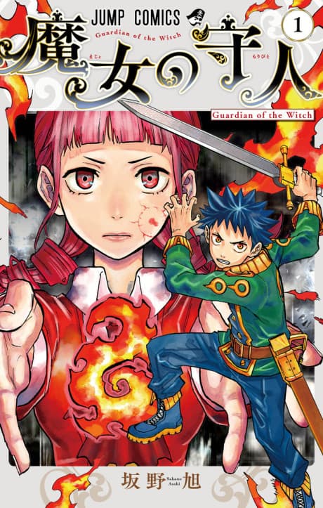 Capa de Guardian of the Witch