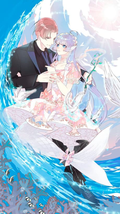 Capa de Mermaid's Dresses