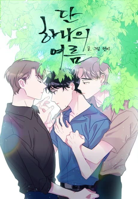 Capa de Wistful Summer