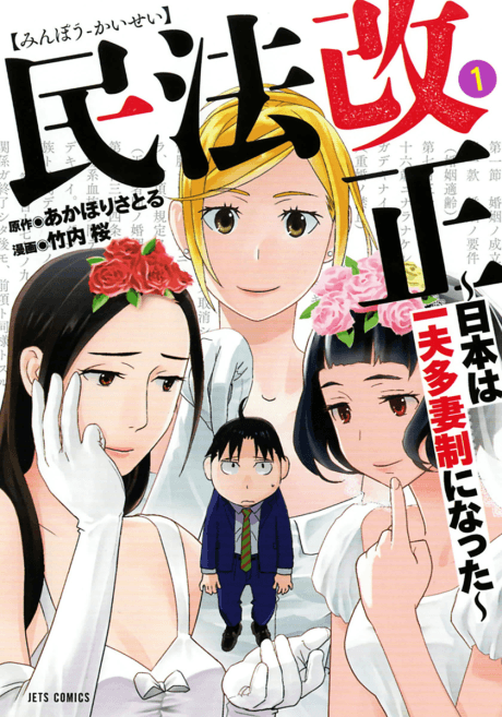 Capa de Minpou Kaisei: Nippon wa Ipputasaisei ni Natta