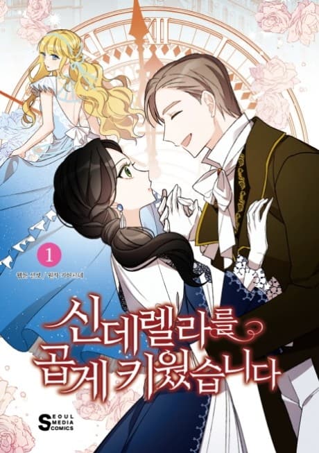 Capa de A Wicked Tale of Cinderella's Stepmom