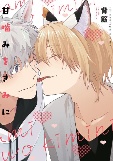 Capa de Amagami wo Kimi ni