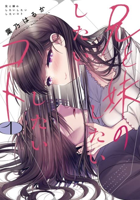 Capa de Ani to Imouto no Shitai Shitai Shitai Koto
