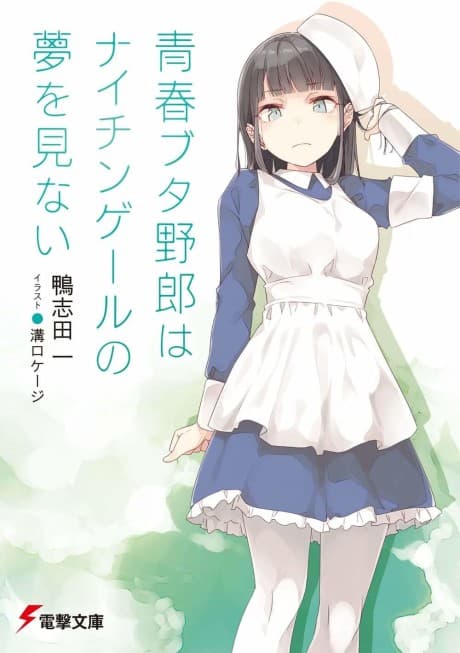 Capa de Rascal Does Not Dream of a Nightingale
