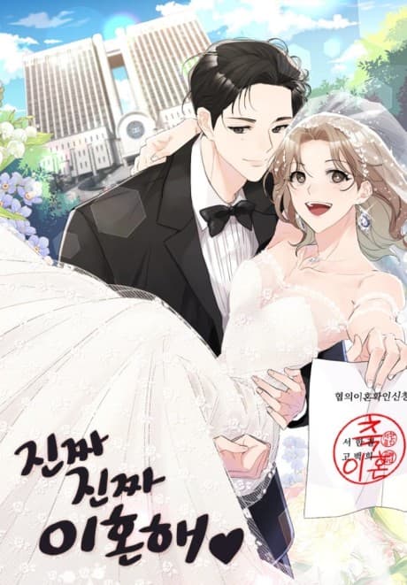 Capa de Let's Get Divorced!