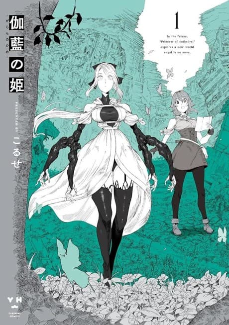 Capa de Garan no Hime
