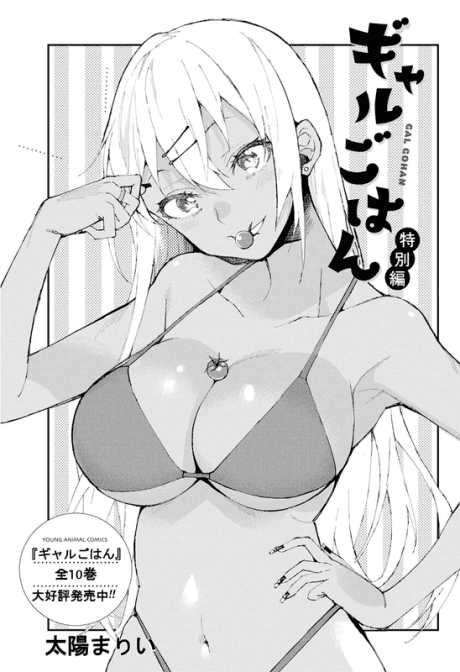Capa de Gal Gohan Tokubetsu-hen