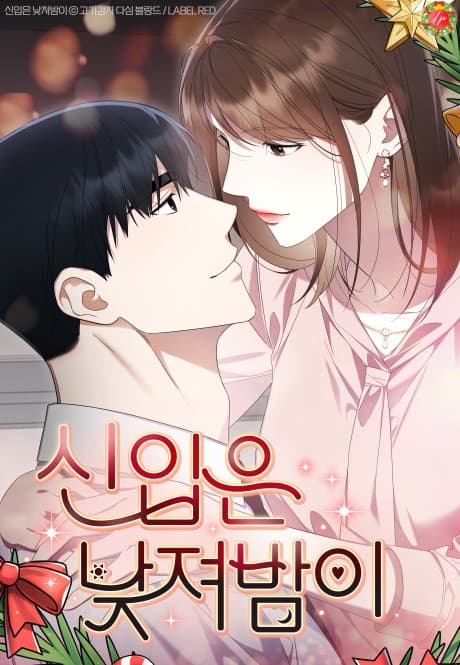 Capa de The New Hire’s Secret