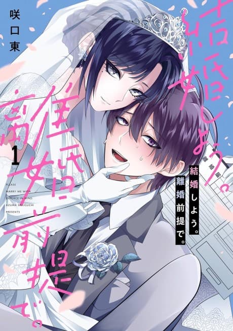 Capa de Marry Me! With the Intention of Divorce