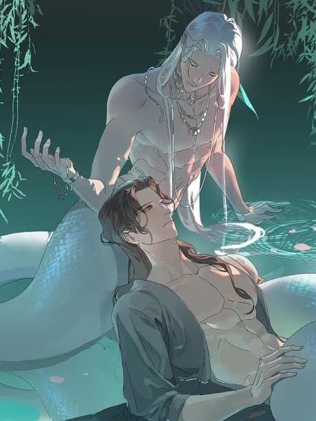 Capa de She Yao Yao Chu Tao