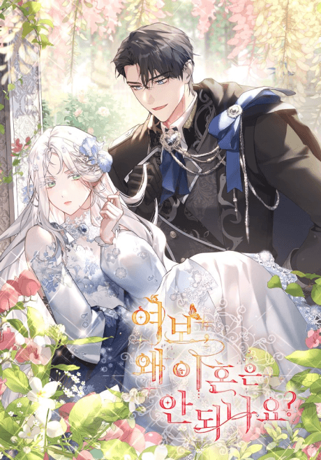 Capa de Darling, Why Can't We Divorce?