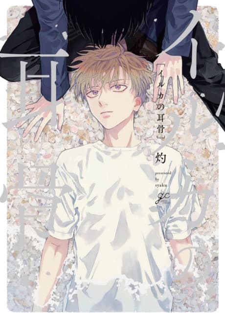Capa de Iruka no Jikotsu