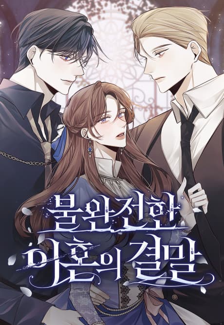 Capa de The End of an Imperfect Divorce