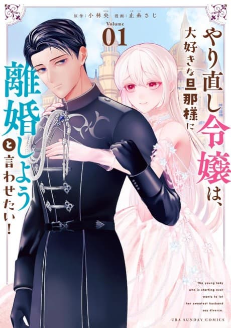 Capa de Yarinaoshi Reijou wa, Daisuki na Danna-sama ni Rikon Shiyou to Iwasetai!