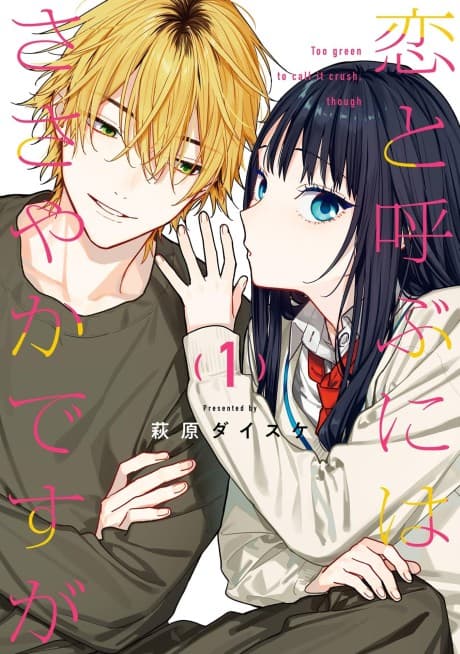 Capa de Not Quite Love