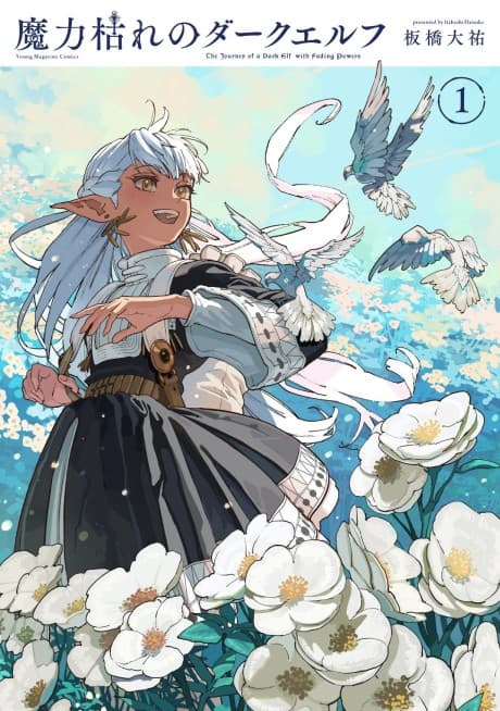 Capa de The Journey of a Dark Elf with Fading Powers