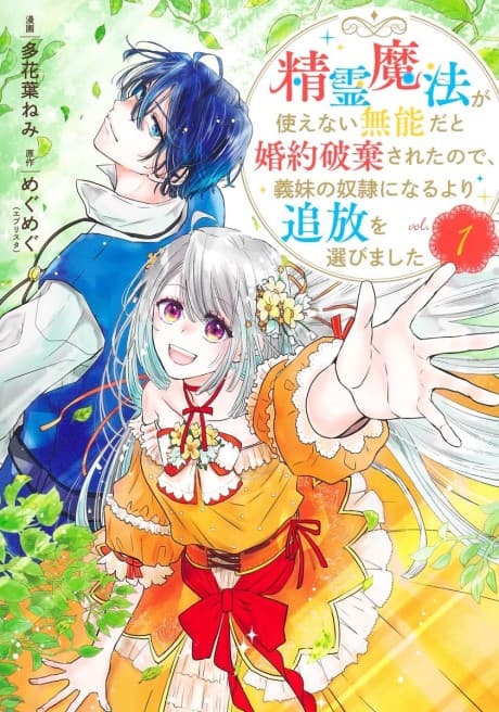 Capa de Seirei Mahou ga Tsukaenai Munou dato Konyaku Haki sareta node, Gimai no Dorei ni Naru yori Tsuihou wo Erabimashita