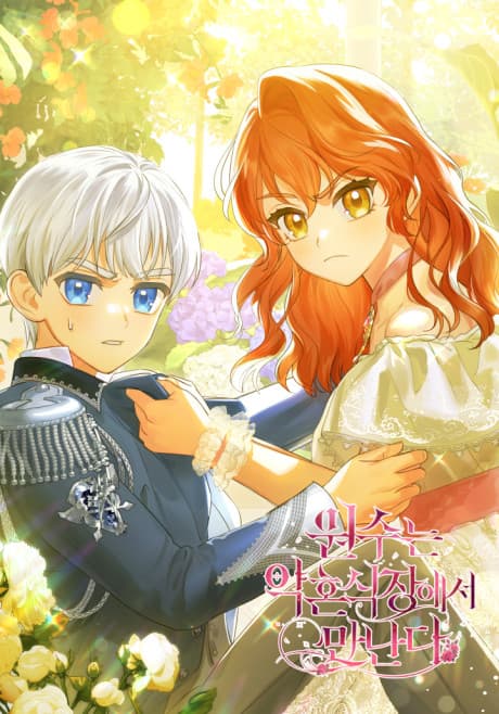 Capa de Marital Enemies