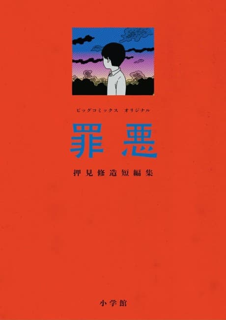 Capa de Sins