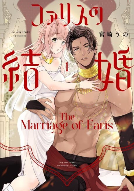 Capa de Faris no Kekkon