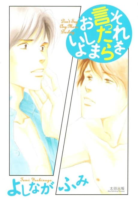 Capa de Don't Say Anymore, Darling