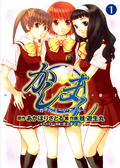 Capa de Kashimashi ~Girl Meets Girl~