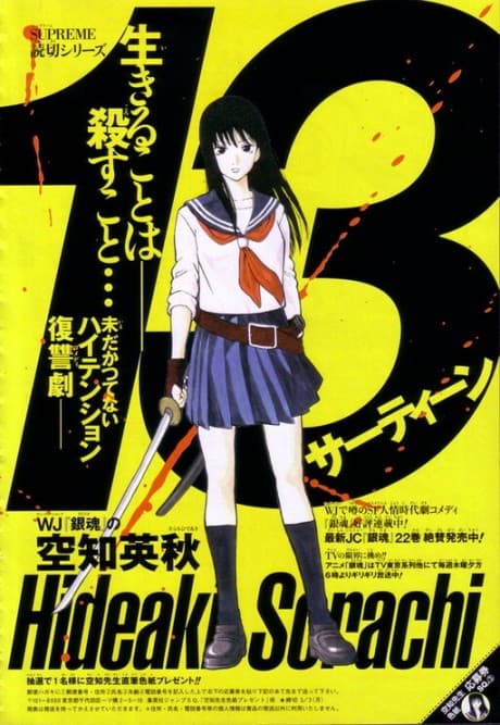 Capa de 13