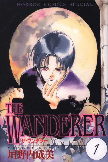 Capa de The Wanderer
