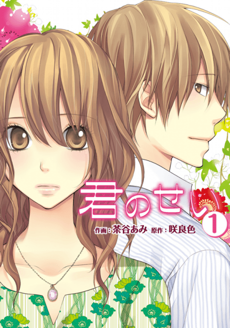 Capa de Kimi no Sei