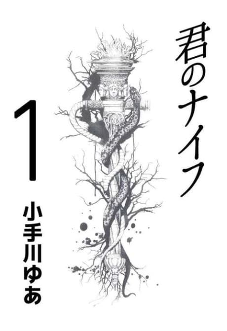 Capa de Kimi no Knife