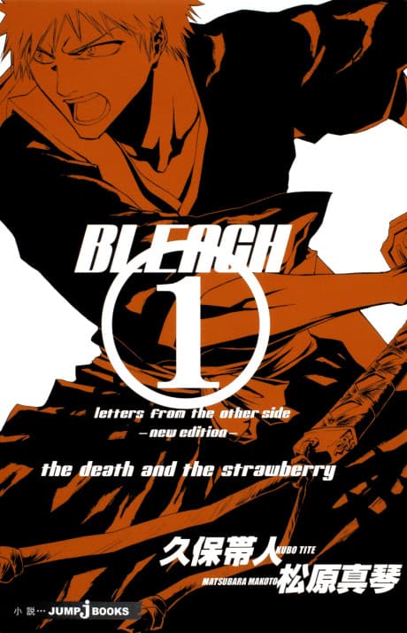 Capa de Bleach: Letters From the Other Side