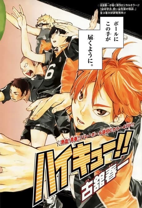 Capa de Haikyuu!!