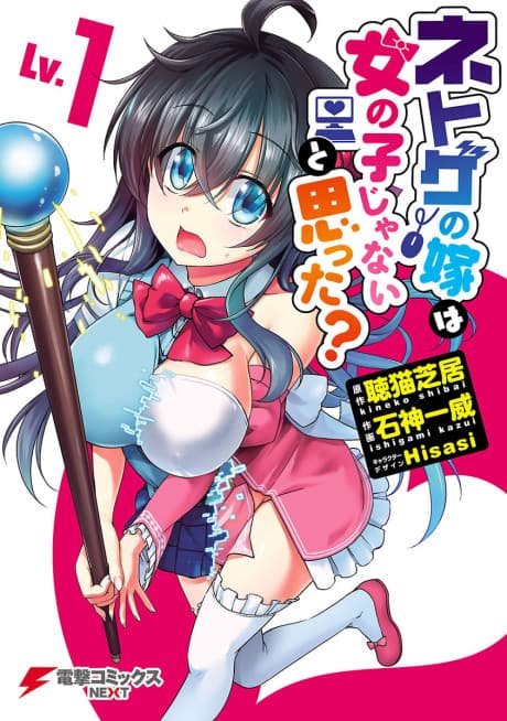 Capa de Netoge no Yome wa Onnanoko ja Nai to Omotta?