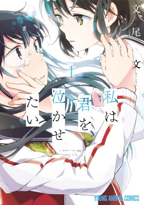 Capa de Watashi wa Kimi wo Nakasetai