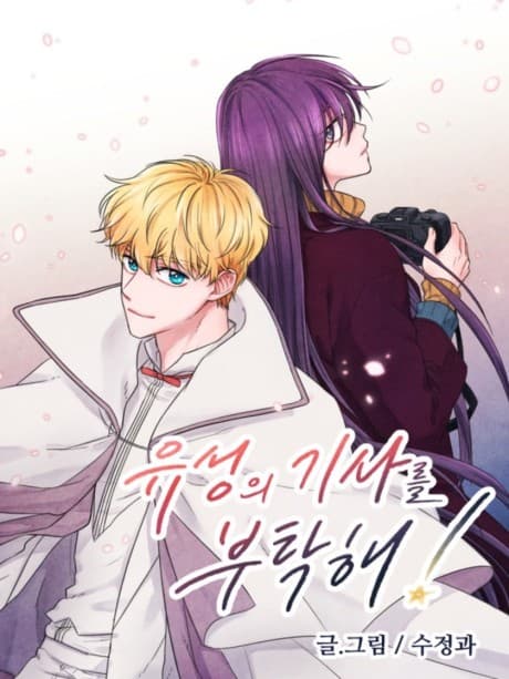Capa de The Knight of the Falling Star
