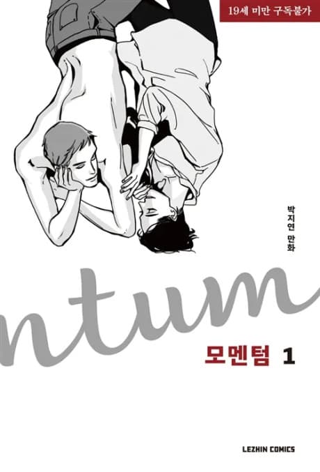 Capa de Momentum