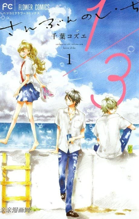 Capa de 1/3