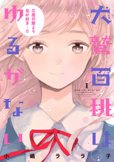 Capa de Momo's Iron Will