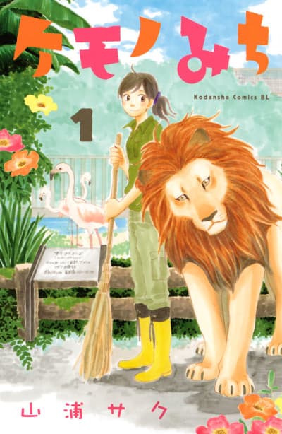 Capa de Kemonomichi