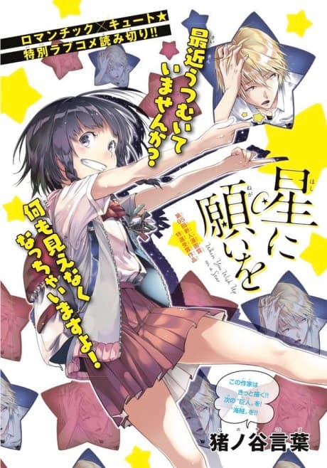 Capa de Hoshi ni Negai wo