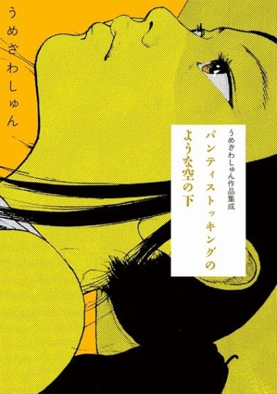 Capa de A Pantyhose Like World